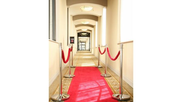 Stanchion (Chrome with Red Velour) - Image 3