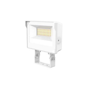 50W Flood Light