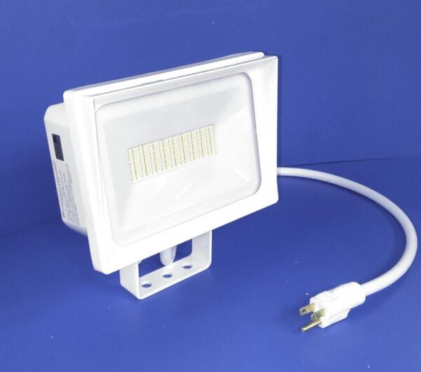 White Flood Light White Flood Light